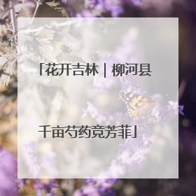 花开吉林｜柳河县千亩芍药竞芳菲